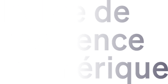 Logo IRN - Indice de résilience numérique